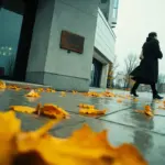 вінницька обласна прокуратура